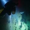 Picture taken during the dive