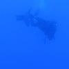 Picture taken during the dive