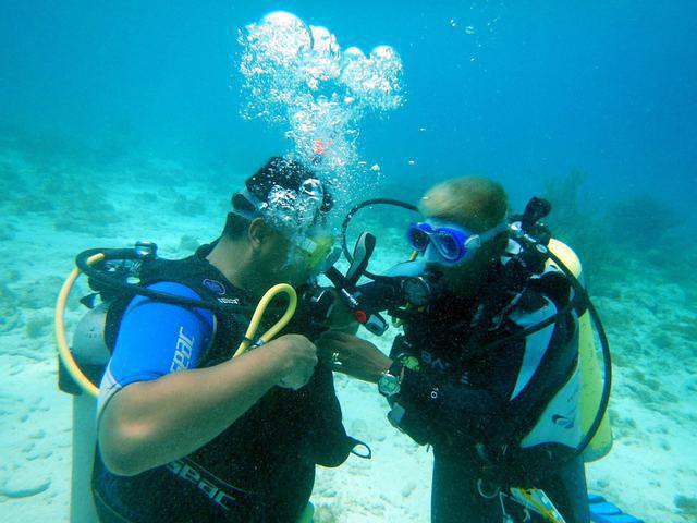 Diving School Wederfoort - Dive Center in Netherlands Antilles