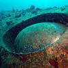 Picture taken during the dive