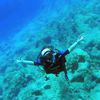 Picture taken during the dive