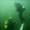 Picture taken during the dive