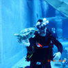 Picture taken during the dive