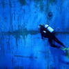 Picture taken during the dive