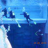 Picture taken during the dive