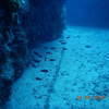 Picture taken during the dive