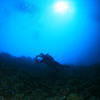 Picture taken during the dive