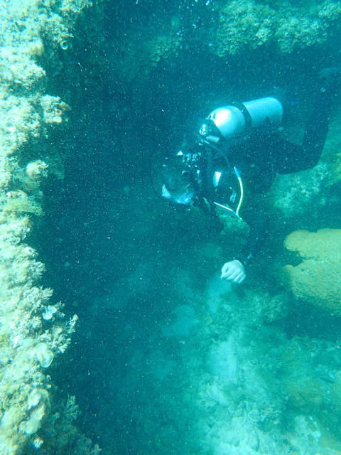 Diving Frontiers - Dive Center in Australia