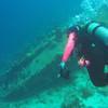 Picture taken during the dive