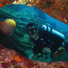 Picture taken during the dive