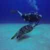 Picture taken during the dive