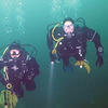 Picture taken during the dive