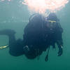 Picture taken during the dive