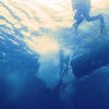 Picture taken during the dive