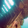 Picture taken during the dive