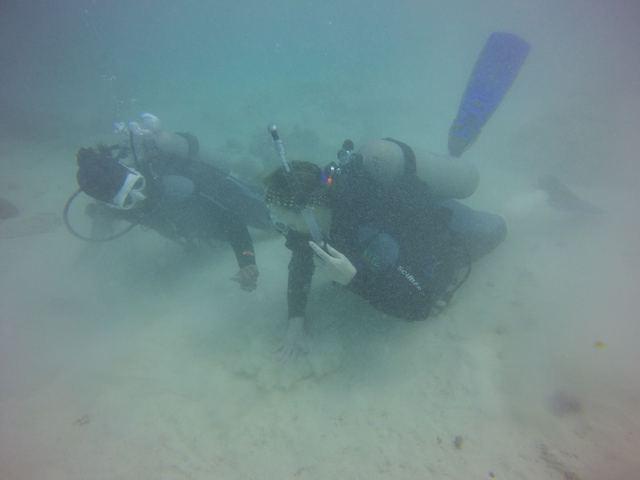 JADS Dive Center - Dive Center