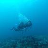 Picture taken during the dive