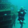 Picture taken during the dive