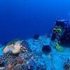Picture taken during the dive