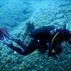 Picture taken during the dive