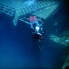Picture taken during the dive