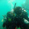 Picture taken during the dive