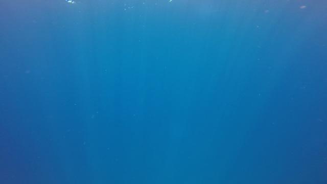 Barracuda Dive Center - Dive Center in Cuba