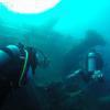 Picture taken during the dive