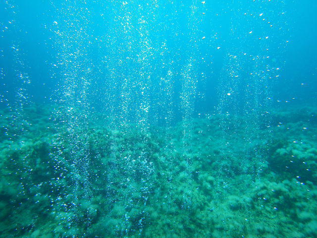 Coral Bay Divers - Dive Center