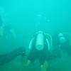 Picture taken during the dive