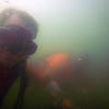 Picture taken during the dive
