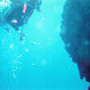Picture taken during the dive
