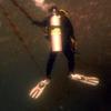 Picture taken during the dive
