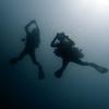 Picture taken during the dive