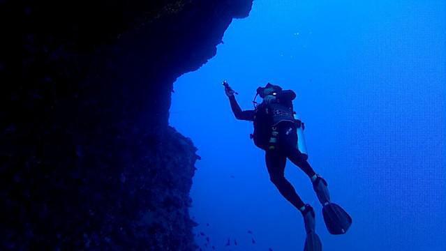 Maui Dive Shop - Dive Center in United States