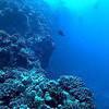Picture taken during the dive