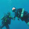 Picture taken during the dive