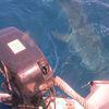 Picture taken during the dive