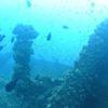 Picture taken during the dive
