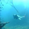 Picture taken during the dive