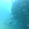 Picture taken during the dive