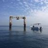 Picture taken during the dive