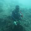 Picture taken during the dive