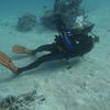 Picture taken during the dive