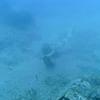 Picture taken during the dive