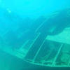 Picture taken during the dive