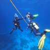 Picture taken during the dive