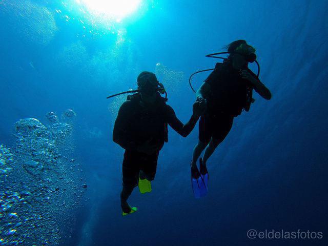 Subway Watersports - Dive Center in Honduras