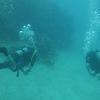 Picture taken during the dive
