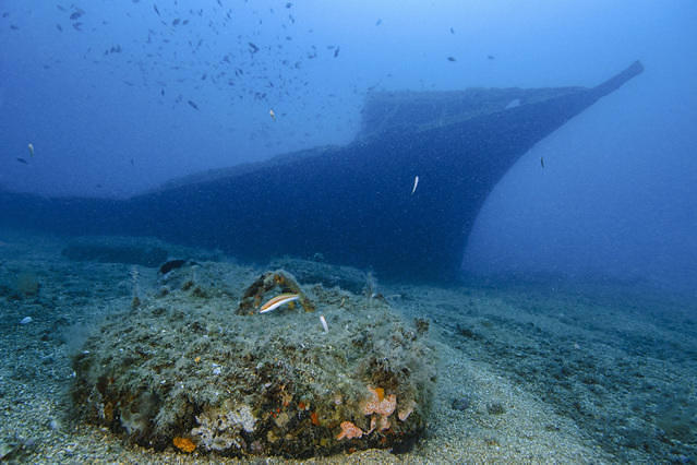 Diving in France, Hyères - By Franck